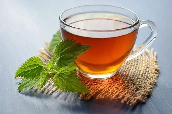 الينسون والأعشاب