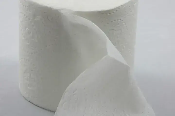 رول الورق
